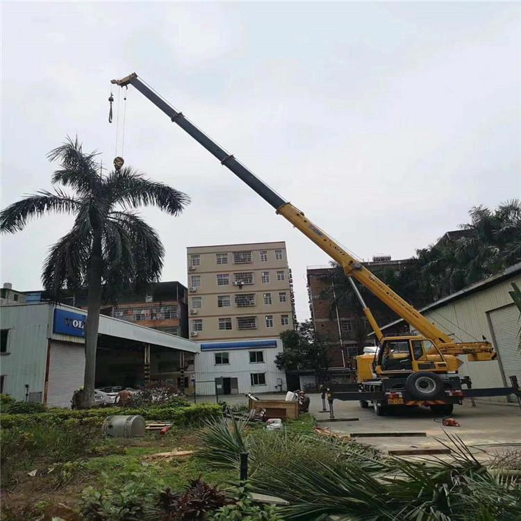 上思吊车吊大树几种方法